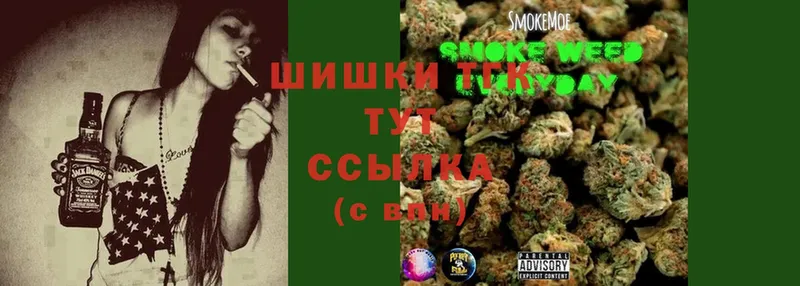 Конопля Ganja  Пятигорск 